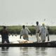 Illustration for article titled Clean-up of oil spill may cause long-term damage